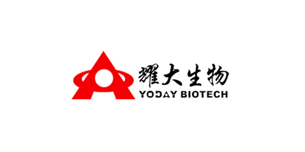 阿迪达斯