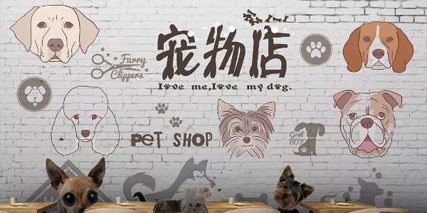 宠物店新风安装安装